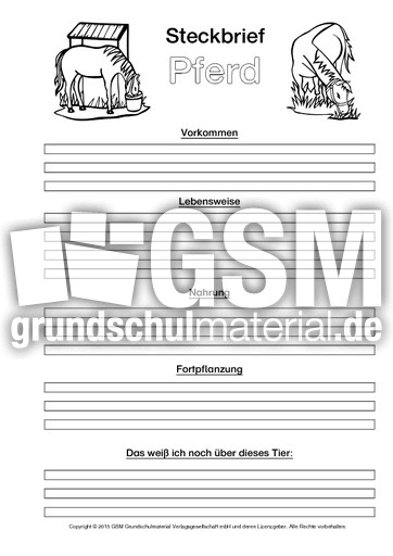Pferd-Steckbriefvorlage-sw.pdf